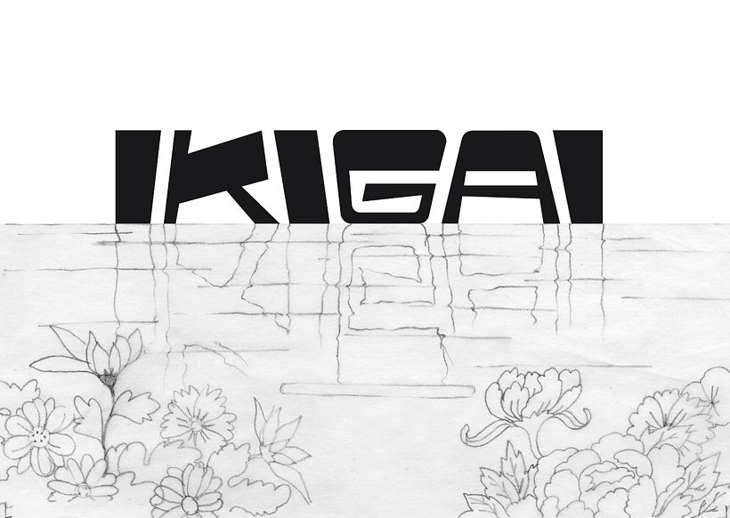 Tarjetas Ikigai 11
