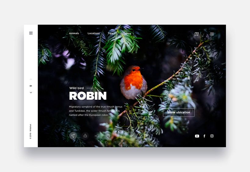 UI Design Collection 3 8