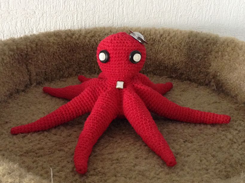 Mi Sr. Pulpo, con su traje de gala. 