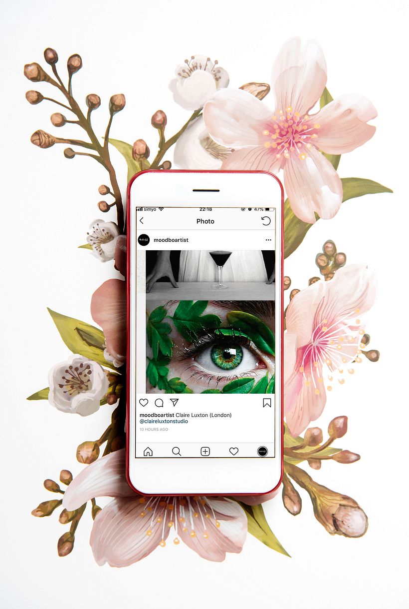 Detalle de Imagen con referencias.