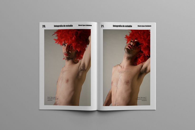 Mi Proyecto del curso: Introducción al diseño editorial 10