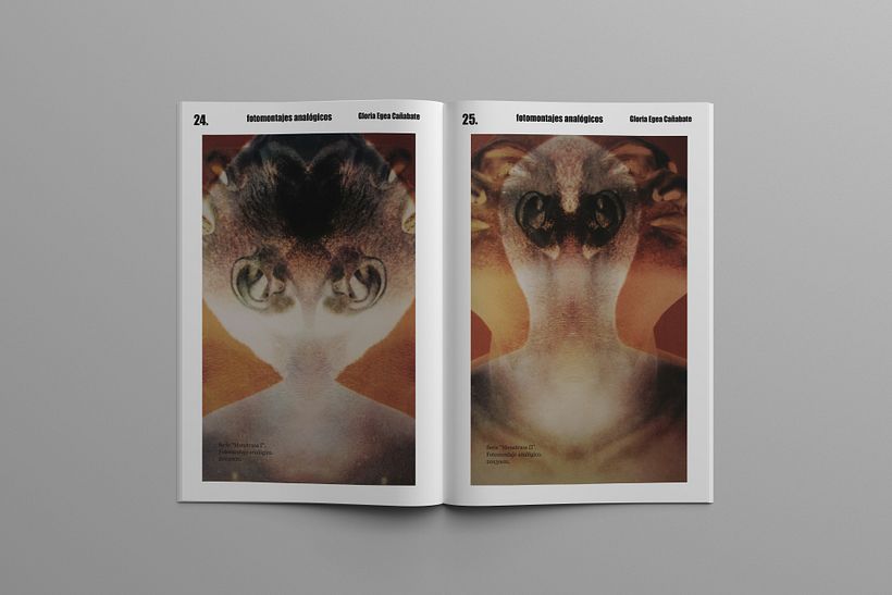Mi Proyecto del curso: Introducción al diseño editorial 12