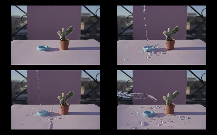 Cactus 2