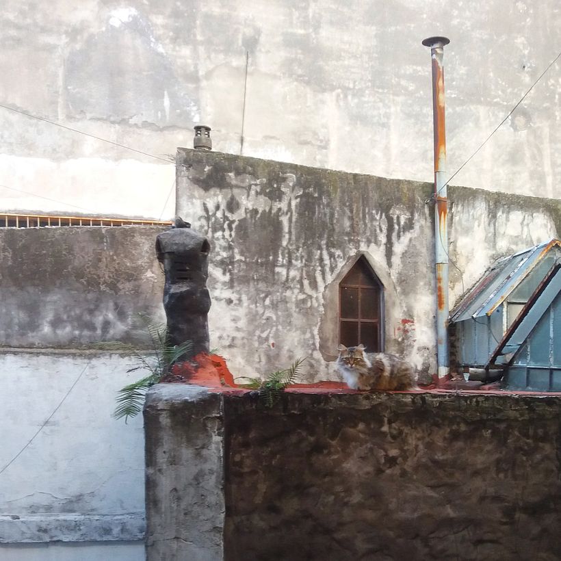 Mi Proyecto del curso 2