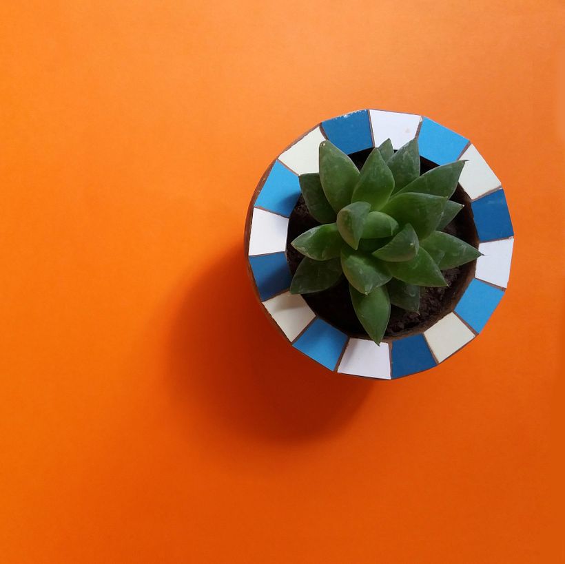 Mi Proyecto del curso 1