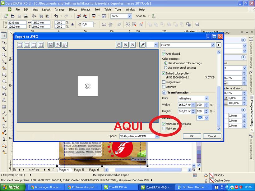 Problema al exportar con Corel 1