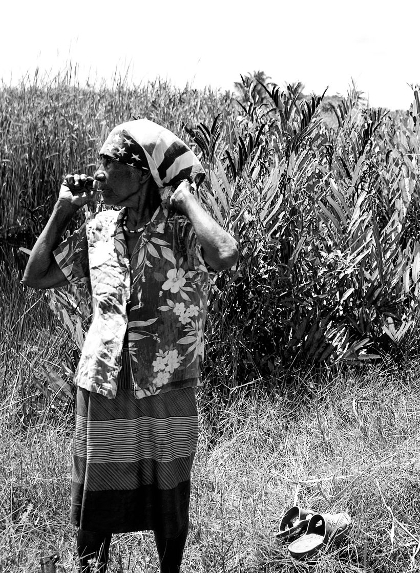 Colombina - San Bernardo del Viento, Córdoba, Colombia