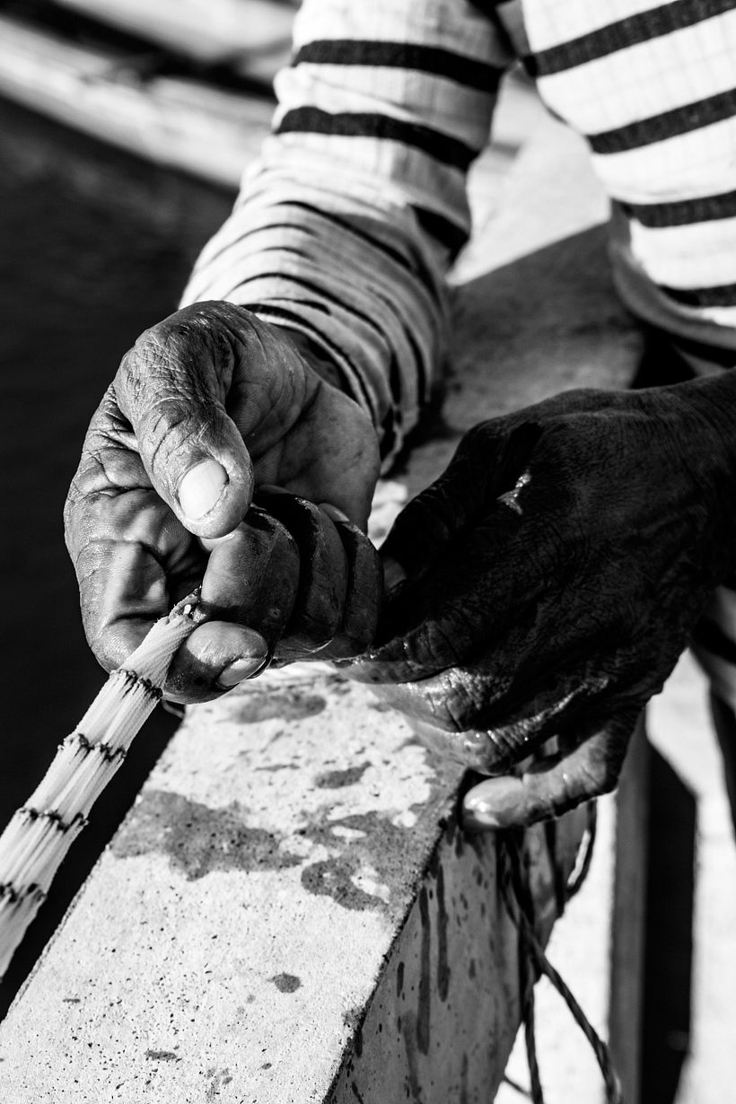 Manos de pescador - Lorica, Córdoba, Colombia