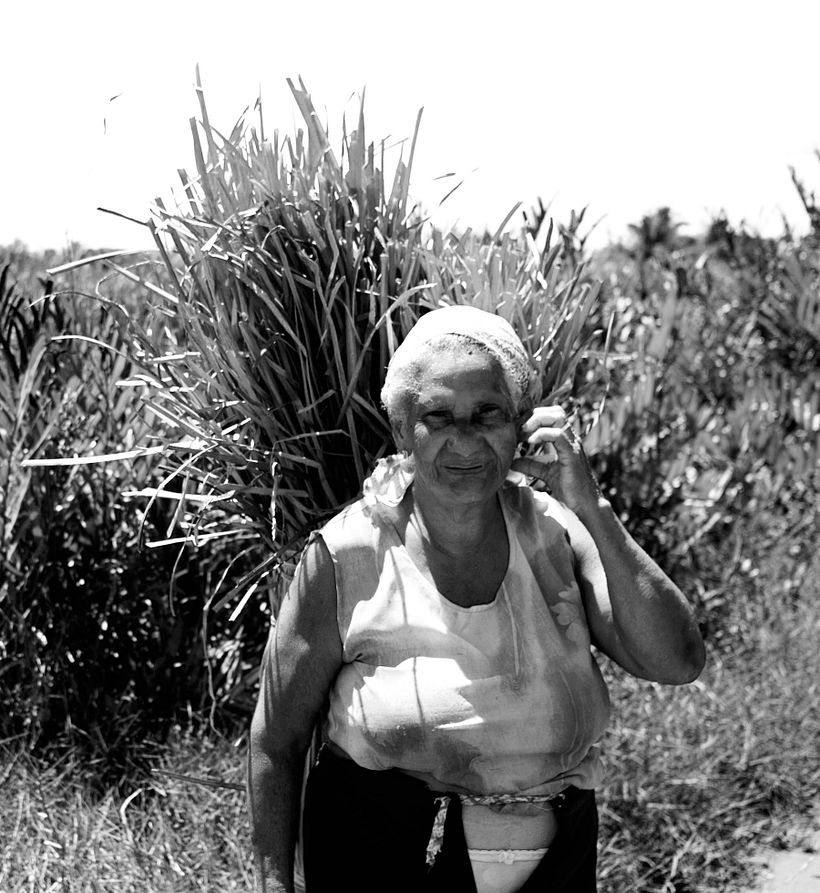 La seño - San Bernardo del Viento, Córdoba, Colombia