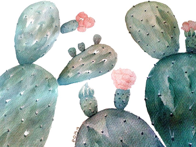 Cactus para Kika, zoom 0