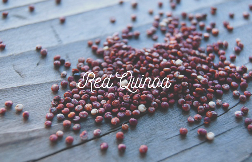 Qumara - Healthy fun life 2