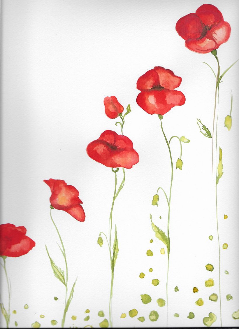 Camiseta amapolas -1