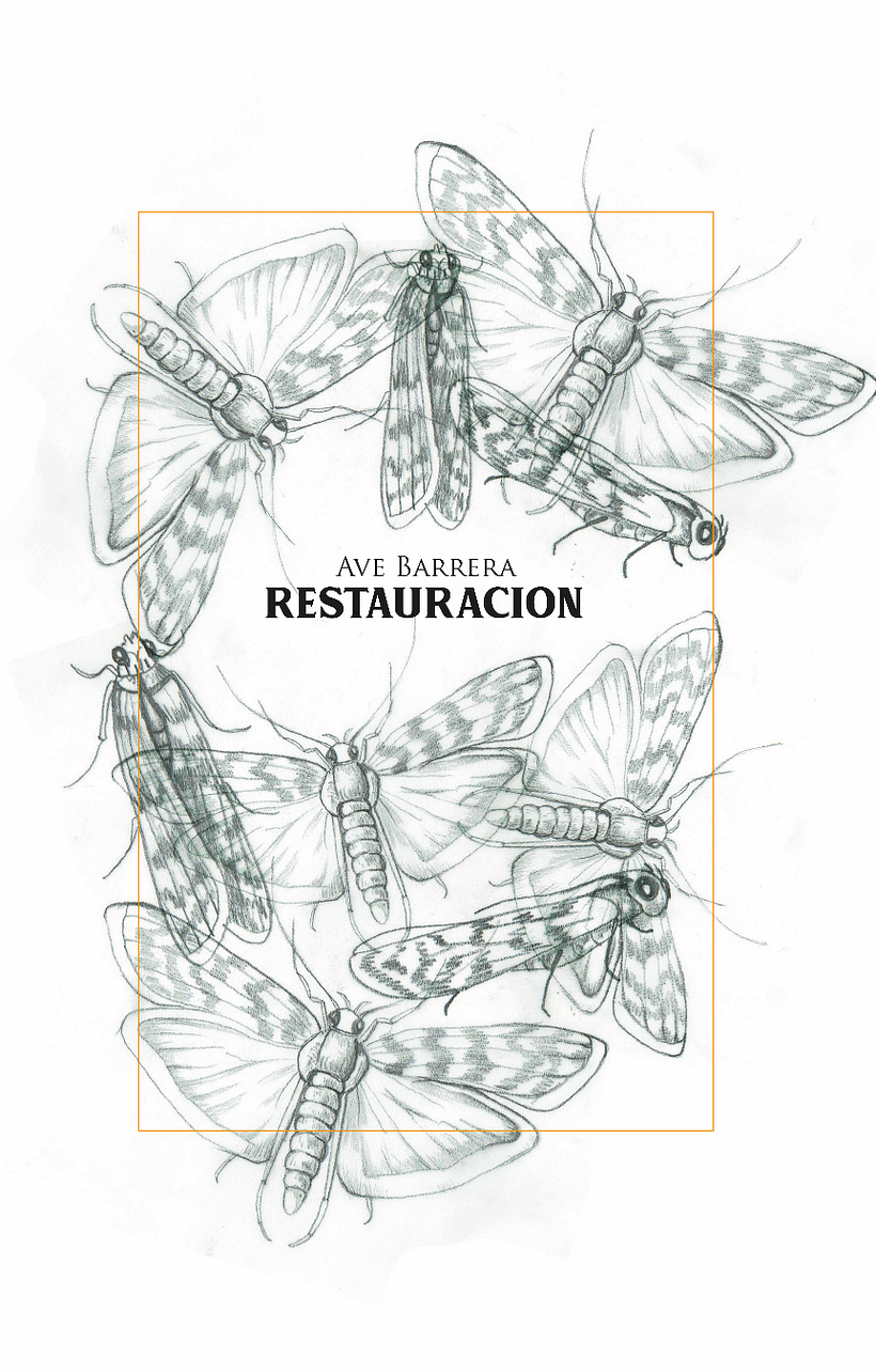 RESTAURACIÓN 4