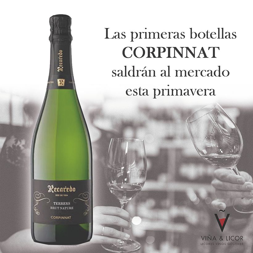 Post de Presentación Vinos  2