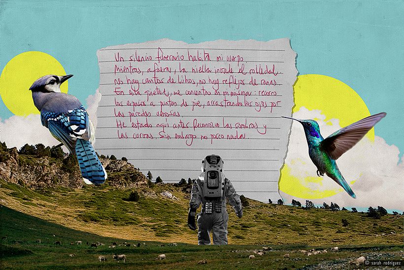 Collage Digital -1