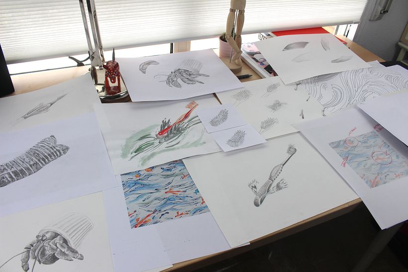 ESPLORAZIONE DEL DISEGNO