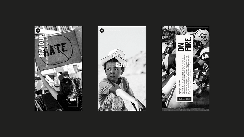 Seiyu – Markenidentität 13