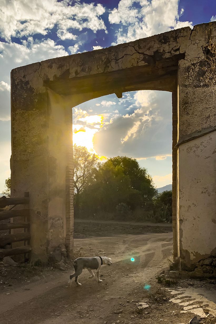 Mineral de Pozos, Guanajuato 1