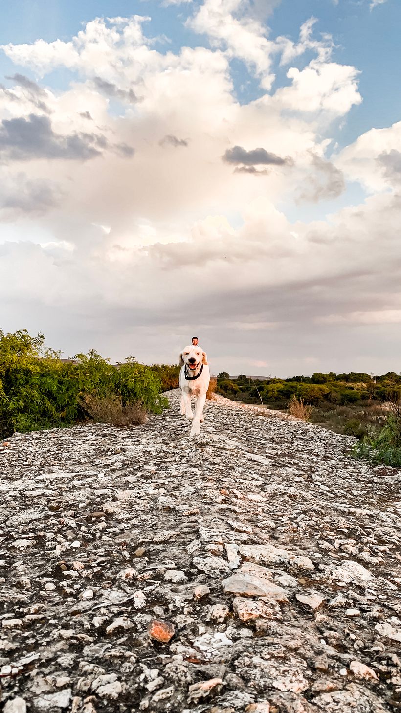 Mineral de Pozos, Guanajuato 16