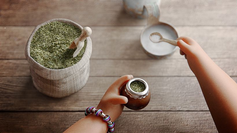 Animadores latinos rinden un homenaje al mate 1