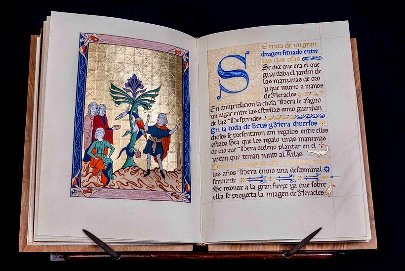 Manuscrit Enluminé: El Lagarto della Magdalena  2014-2015 8