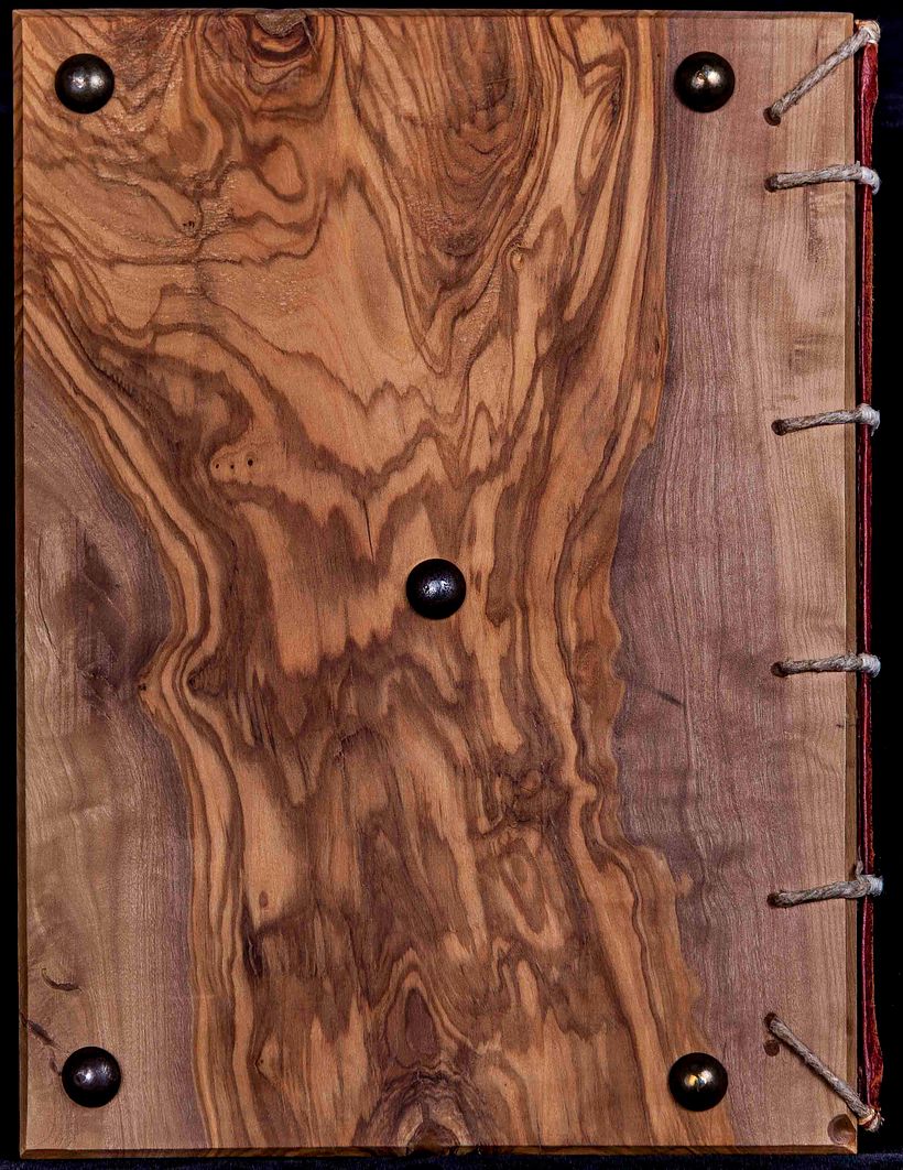 Manuscrit Enluminé: El Lagarto della Magdalena  2014-2015 10