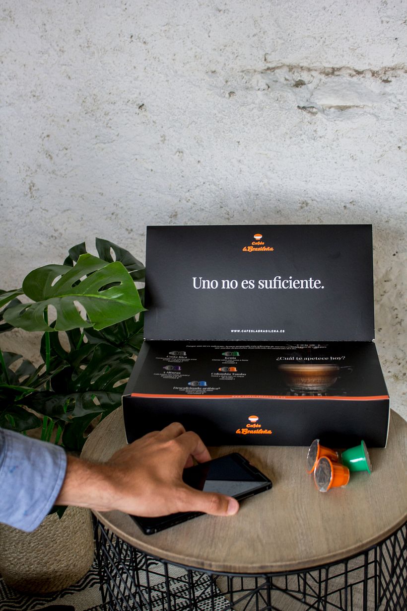 E L     F E E D  * -1