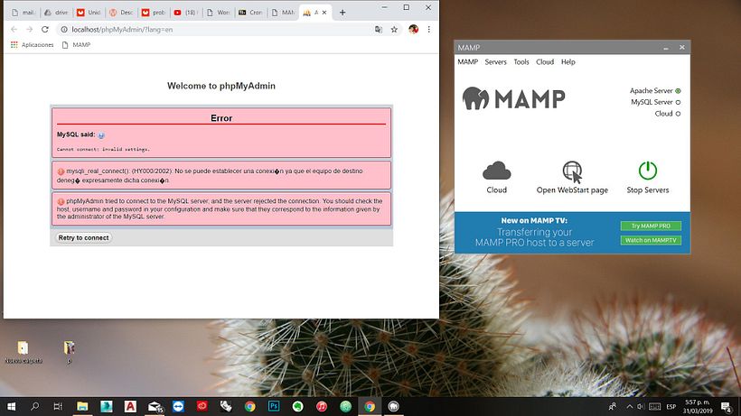 problemas para abrir localhost con MAMP 1