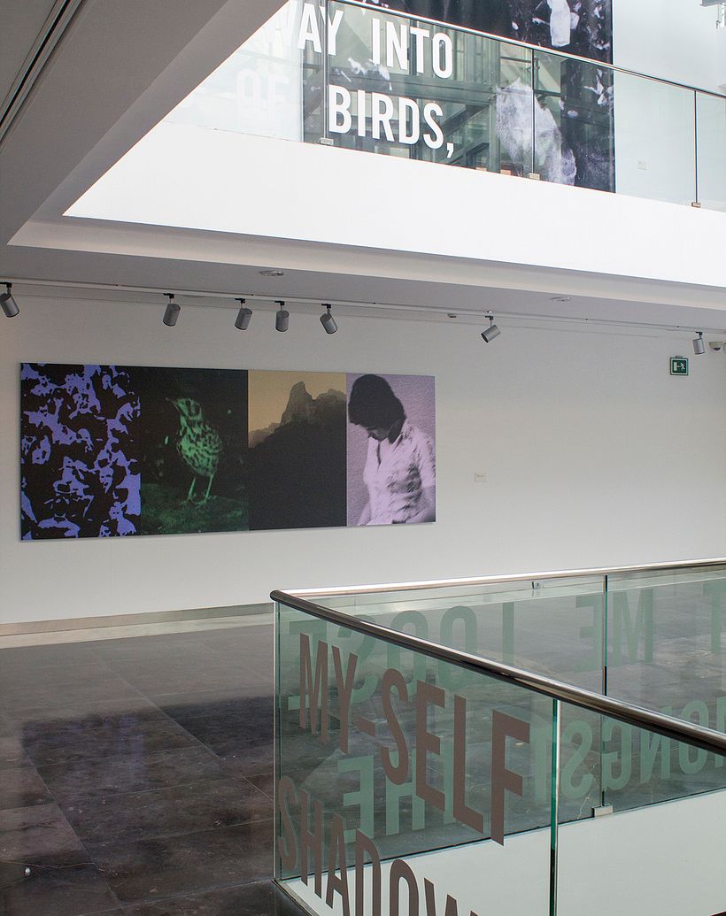 THE FORGOTTEN TRILOGY 5