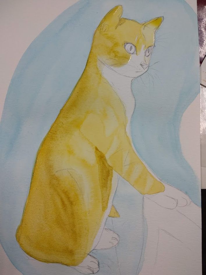 Primera capa de color del gato