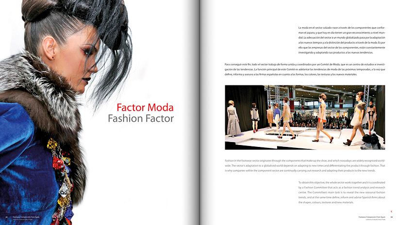 FCFS «A Revolution in Evolution» 13