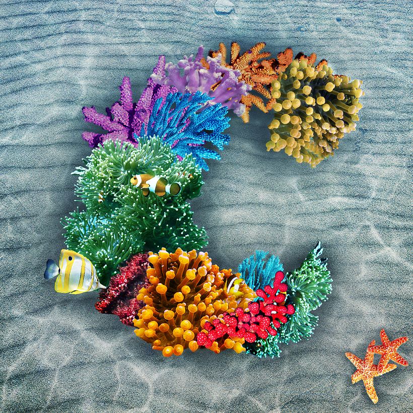 ¿Participas en el #36daysoftype?  2