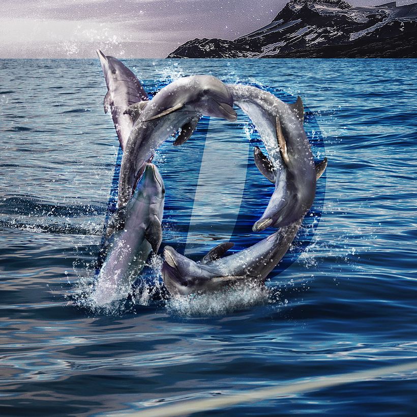 ¿Participas en el #36daysoftype?  3