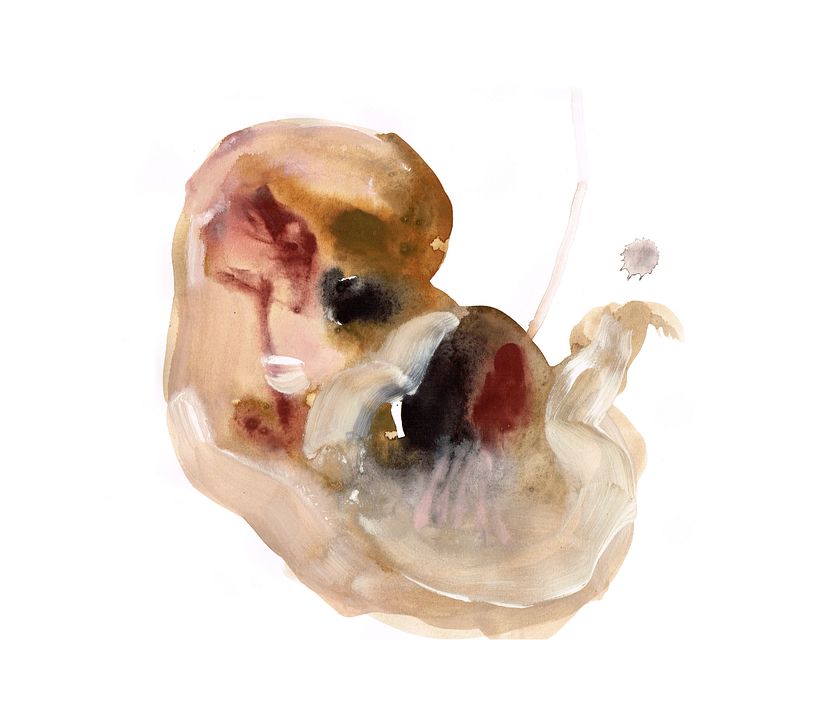 Domestika Creativos: Paula Bonet 14