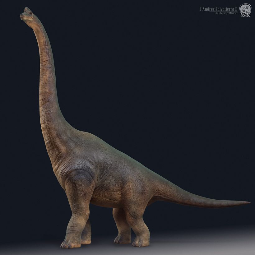 Brachiosaurus 1