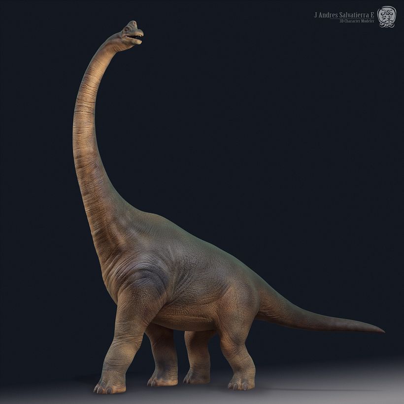 Brachiosaurus 3
