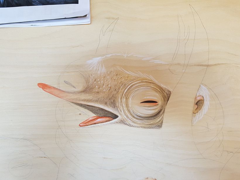 Gebieden met aquarel