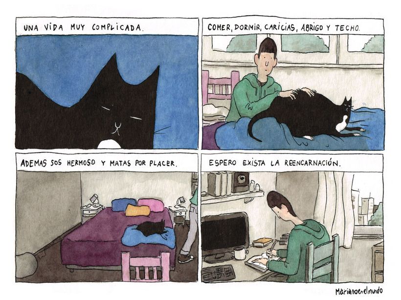 Tira de 4 ambientes de Marianoenelmundo