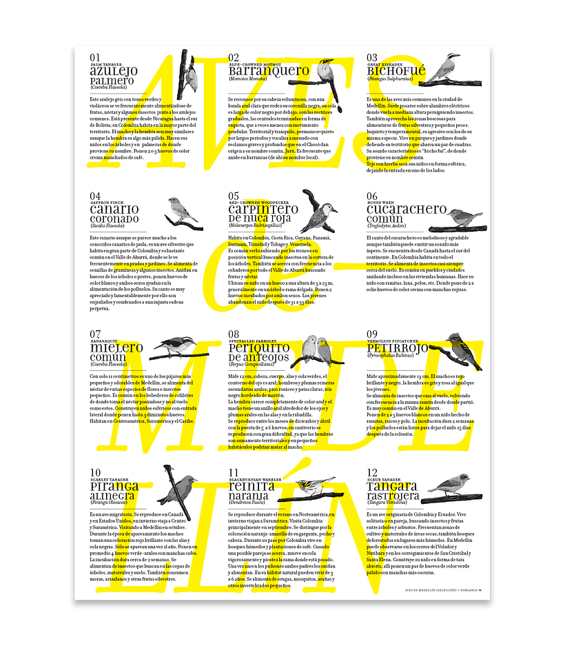 Afiche que acompaña el calendario