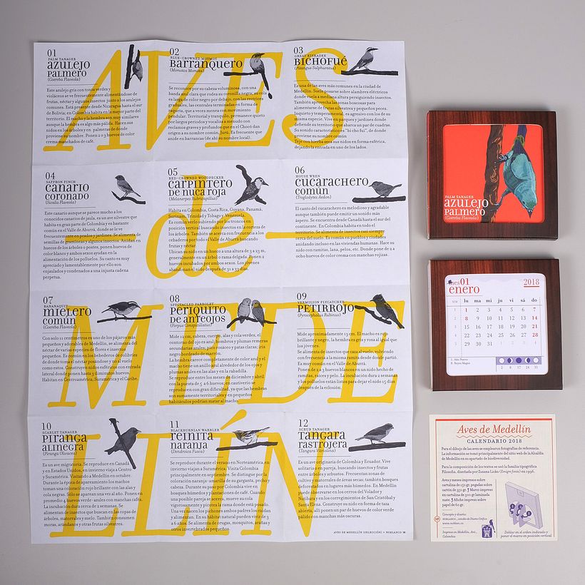 Calendario Aves de Medellín 12