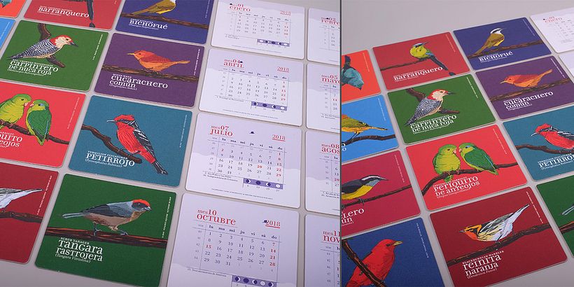 Calendario Aves de Medellín 13