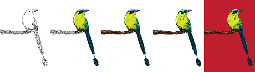 Proceso de ilustración