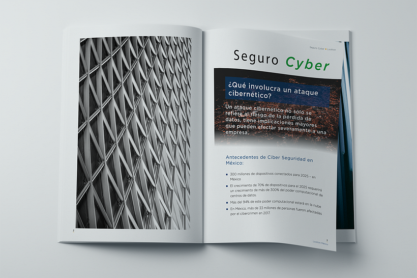Mi proyecto que explica que es el seguro cyber! 1
