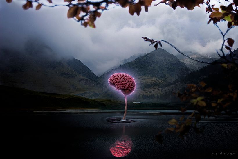 Fotografía / Fotomontaje -1