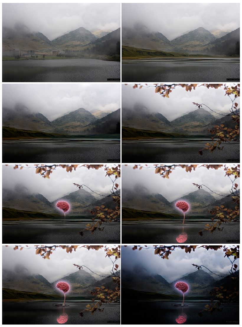 Fotografía / Fotomontaje 0