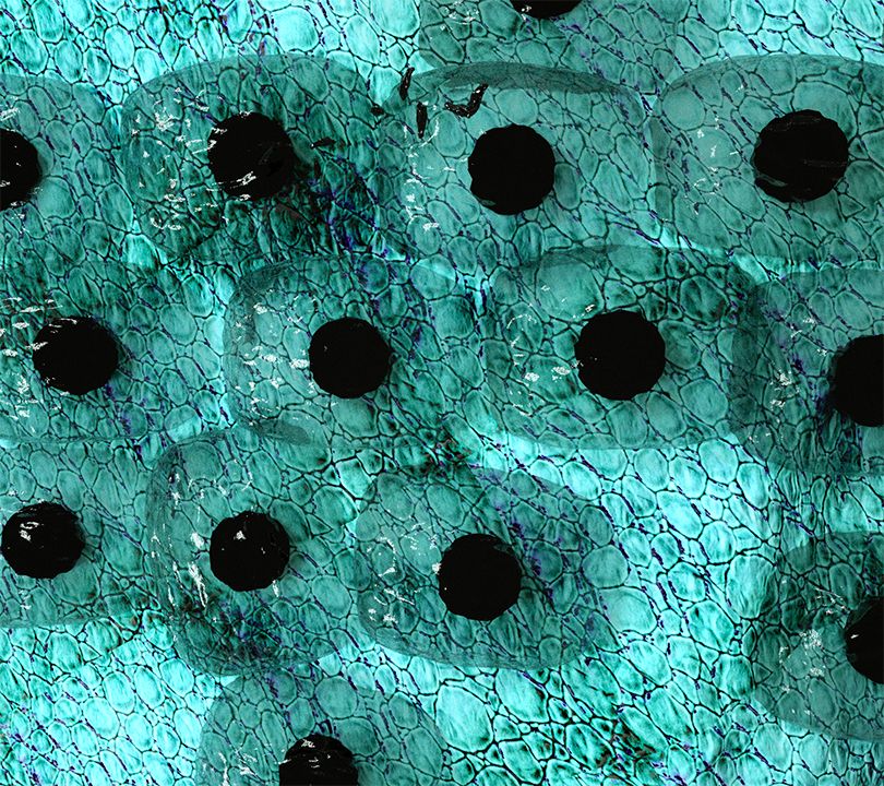 Cambio de iluminacion y texturas con Team Render CINEMA 4D (Octane Render) 3