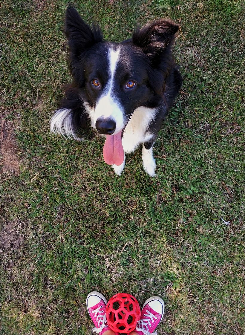 Nina, vamos a jugar?? 