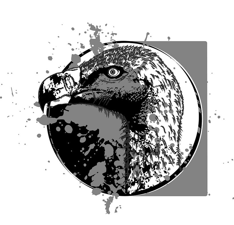 Buitre Africano (Blanco y negro)