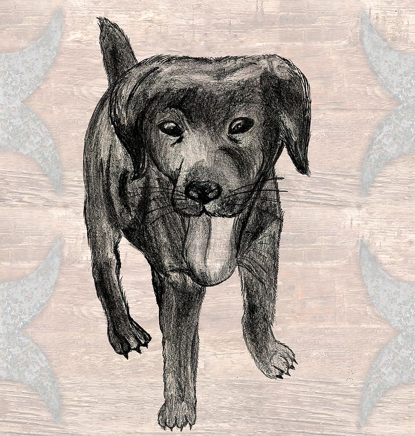 Django cachorro 1