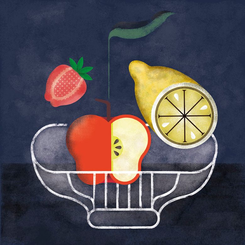 Fruchtillustrationen zum Kampagnenstart 1
